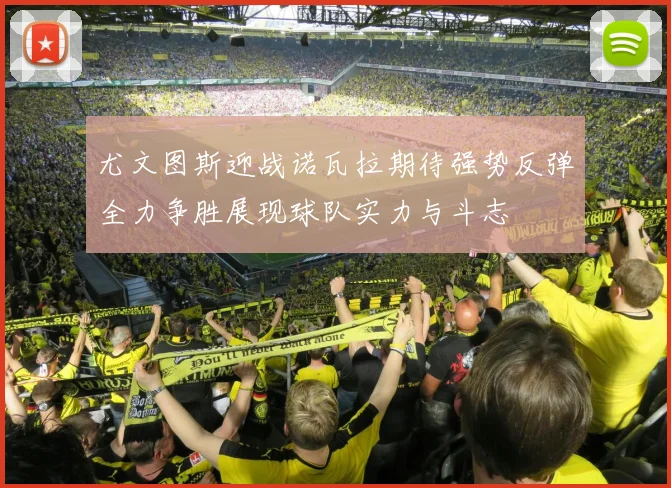 尤文图斯迎战诺瓦拉期待强势反弹全力争胜展现球队实力与斗志
